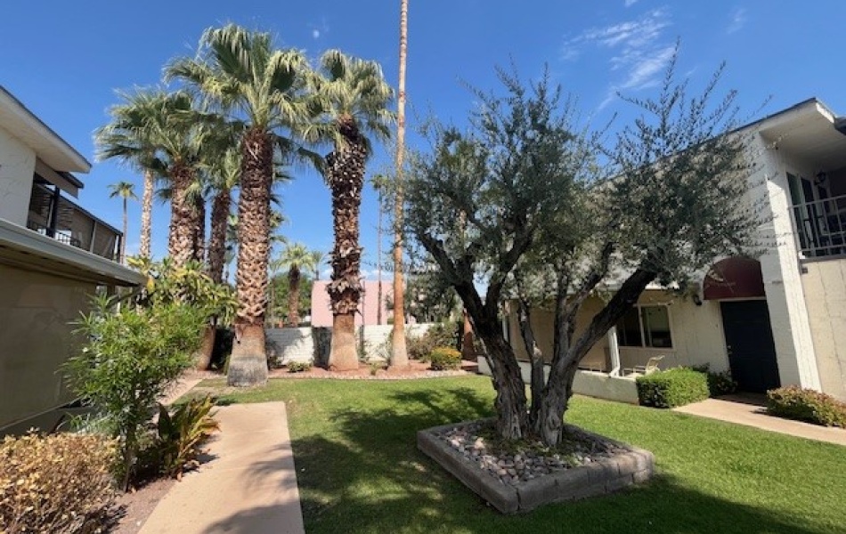 45270 Panorama Drive, Palm Desert, CA 92260, 2 Bedrooms Bedrooms, ,2 BathroomsBathrooms,Apartment,For Rent,The Sunset Villas,Panorama Drive,1110